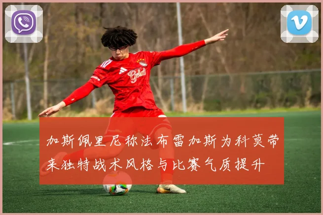 加斯佩里尼称法布雷加斯为科莫带来独特战术风格与比赛气质提升